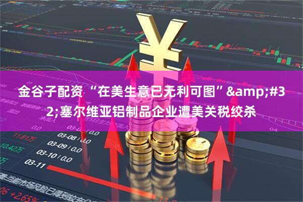 金谷子配资 “在美生意已无利可图” 塞尔维亚铝制品企业遭美关税绞杀